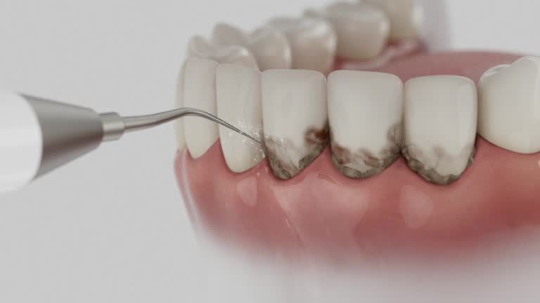 Reliable Dental contractor in Ponderosa Park, CO by Dentist Open Now